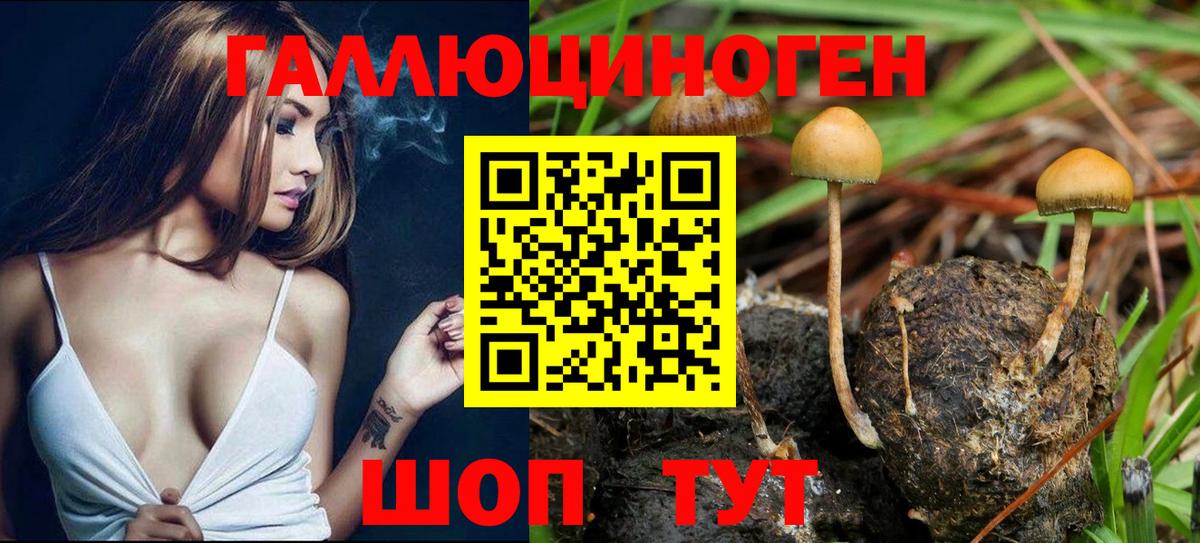 Бутурлиновка  Галлюциногенные грибы прущие грибы  Псилоцибиновые грибы мицелий  Вход с VPN 